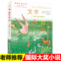 光草书新蕾出版社 三年级 国际大奖小说儿童文学奖 一个墙上的异想课外书 小学生课外阅读书籍9-10岁正版
