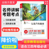 宝葫芦的秘密 三年级 四年级必读 张天翼 正版儿童文学适合5-6年级五六年级课外书必读老师推荐看的阅读书籍