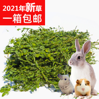 苜蓿草2021年新草 兔子龙猫牧草兔粮豚鼠饲料干草毛重1000克