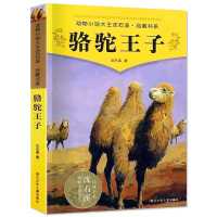 正版 骆驼王子 动物小说大王沈石溪品藏书系中小学生课外阅读书不带拼音儿童文学书籍 浙江少年儿童出版社共291页D