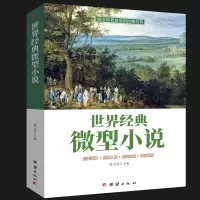 [正版厚本16开]微型小说选刊正版全集世界经典微型小说集小小说一百多年一百多位著名大师的短篇佳作微型小说精选短篇小说