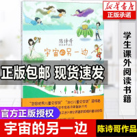 正版 陈诗哥的书 宇宙的另一边 正版海天出版社儿童小说书籍 绘画漫画连环画卡通故事少儿 会跳舞的房子一二三年级课外阅