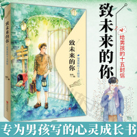 致未来的你 给男孩的十五封信 专为男孩写的心灵成长书 男孩心灵励志书成长励志心理教育书籍 孩子家庭教育书籍 儿童教