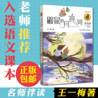 鼹鼠的月亮河正版/王一梅儿童文学精品漂流屋系列/江苏凤凰少年儿童出版社完整版/三四五六年级中小学生课外书