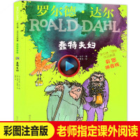 正版蠢特夫妇注音版彩图罗尔德达尔作品典藏一二年级课外书必读罗尔德达尔的书 儿童文学课外阅读书籍 中小学生老师推荐带拼
