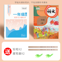 一年级二年级三小学生练字帖四五六字帖上册下册初学者每日一练天天课本练语文生字同步描红人教版练习写字硬笔书法练字本儿童楷书