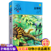 金蟒蛇/生态文学系列/动物小说大王沈石溪品藏书系 儿童书8-10-12周岁儿童文学三四五六年级小学生课外阅读故事书正版书