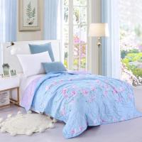 春秋可水洗机洗夏凉被单人空调被双人被子童被幼儿园学生被薄被子 孔雀蓝 (夏被)童被 宽约1米乘1米45左右