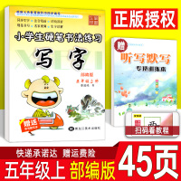 写字课课练五年级上册 部编人教版 李放鸣小学生字帖 铅笔钢笔楷书正楷硬笔书法儿童临摹练字帖 5年级上语文教材同步练习册作