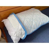 日本尼达利超冷感枕巾垫冰丝面料夏季双面单人情侣学生儿童枕头套 43*63cm西川浅蓝条(初级冷感)