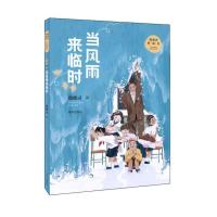 当风雨来临时殷健灵桥梁书 图书6-9-12岁小学生一二三年级课外阅读 故事书儿童文学读物少年儿童励志故事书籍明天出版社
