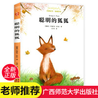 聪明的狐狐 正版 亲近母语经典童书权威译本 三四五六年级小学生课外阅读书籍儿童文学故事书 老师推荐必读版本广西师范大学出