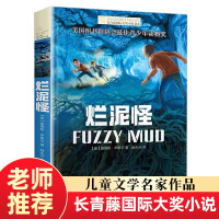 烂泥怪正版书长青藤国际大奖小说7-12-14周岁儿童文学经典成长小说故事书籍老师推荐三年级四五六年级中小学生课外阅读书畅