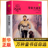 导盲犬迪克 沈石溪动物小说品藏书系升级版 小学生课外阅读书籍6-12岁青少年版儿童文学三四五六年级儿童文学故事书