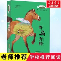 野马奔腾 沈石溪野生动物救助站 6-12周岁小学生一二三四五六年级课外阅读经典文学故事书籍寒暑假老师推荐阅读书目