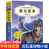 狼兄狼弟 沈石溪中外动物小说精品升级版 9-12岁儿童文学励志动物成长故事 三四五六年级小学生课外阅读书 安徽少年儿童出