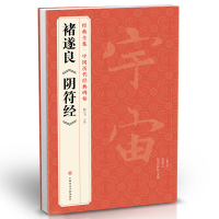 褚遂良《阴符经》中国历代经典碑帖 唐真迹原大字黄帝书法字帖毛笔临摹正楷书籍练字帖入门小楷集字大学生 杨建飞主编