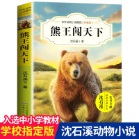 熊王闯天下 沈石溪中外动物小说精品升级版 9-12岁儿童文学励志动物成长故事 三四五六年级小学生课外阅读书 安徽少年儿童