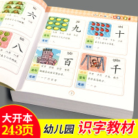 儿童识字大王幼儿园看图认字书3000字注音绘本2-3-5-6岁早教卡片 识字大王243页