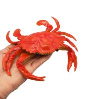 真螃蟹龙虾软胶海洋动物模型儿童玩具大号螃蟹早教认知发声螃蟹 仿真螃蟹1个