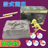 恐龙化石考古挖掘玩具男孩手工diy制作 儿童侏罗纪霸王龙骨架模型 [体验版]-迷你随机