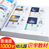 儿童认字书幼儿园看图识字卡片学拼音700题2-3-6岁宝宝益智早教卡 普通版幼儿园识字教材