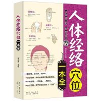 零基础学按摩刮痧拔罐基础入门中医治百病人体经络穴位保健养生书 人体经络穴位一本全