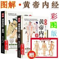 图解黄帝内经素问灵枢 原文注释译文皇帝内经中医养生保健书籍 黄帝内经 素问灵枢 ZJ