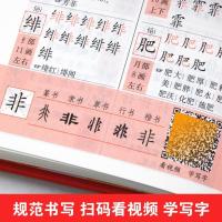正版小学生全笔顺笔画部首结构写字规范字典大全最新版人教版词典 全笔顺字典[收字2700个]