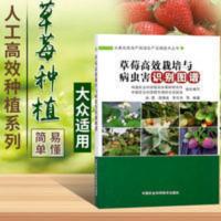 草莓种植技术草莓高效栽培与病虫害识别图谱有机草莓栽培技术书籍 草莓种植技术草莓高效栽培与病虫害识别图谱有机草莓栽培技术书