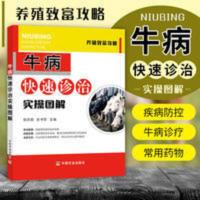 牛病快速诊治实操图解 牛病治疗全书牛病诊断及治疗养牛技术书籍 牛病快速诊治实操图解 牛病治疗全书牛病诊断及治疗养牛技术书