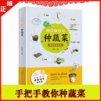 手把手教你种蔬菜 80种蔬菜种植技术大全 播种育苗搭架肥水管理书 手把手教你种蔬菜 80种蔬菜种植技术大全 播种育苗搭架