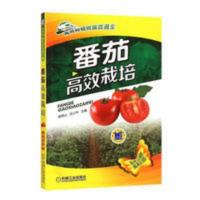 正版 番茄高效栽培 番茄种植技术书籍 西红柿栽培技术大全书 正版 番茄高效栽培 番茄种植技术书籍 西红柿栽培技术
