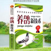 养鸽新技术肉鸽信鸽观赏鸽养殖技术鸽舍建设饲料配置鸽子疾病防治 养鸽新技术