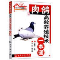 肉鸽gao效养殖技术一本通 肉鸽养殖技术书籍 养鸽子的书籍 科学养 肉鸽gao效养殖技术一本通 肉鸽养殖技术书籍 养鸽子