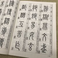 篆经 篆书书写与辨识/苏门 编/篆书入门/说文解字部首 篆刻书法