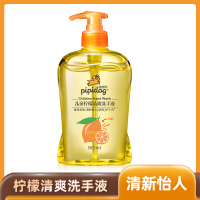 儿童柠檬芦荟洗手液500ml 宝宝专用天然洗护便携家用 柠檬香型500ml 无香味