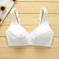 纯色纯棉少女文胸发育期高中学生内衣无钢圈无海绵垫女士胸罩 白色 32/70A
