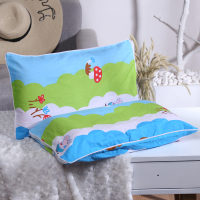 儿童宝宝0枕头四季通用纯棉卡通可爱枕套3-9岁定型枕芯护头枕透气 蓝色小猪(白色枕芯)