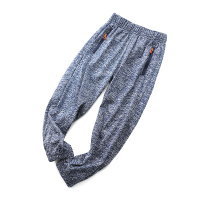 柔软弹力 轻薄防蚊~男童休闲裤夏款中大童速干长裤宝宝运动裤子 蓝色 建议身高110左右 标牌110