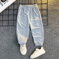 男童裤子夏季薄款儿童休闲长裤冰丝男孩夏天宝宝防蚊裤女童灯笼裤 烟灰色 90cm（建议身高85左右）