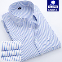 保罗夏季薄款短袖条纹衬衫男中年正装免烫半袖衬衣职业加大码寸衫 CL4203[白底蓝条纹] 37