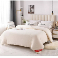 6斤重纯棉花床褥垫絮 120*200cm