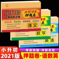 小升初押题卷2021新版复习资料必刷题总复习试卷六年级模拟试卷 小升初 语文