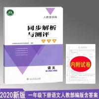 人教金学典同步解析与测评学考练一年级下册语文数学 含试卷 语文