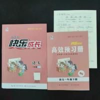 2021春快乐成长语文数学下册一二三四五六年级课时同步趣味练习册 一年级下册 笔记本