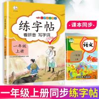 一年级上册下册语文同步练字帖人教版字帖小学生控笔训练教材同步 一年级上册 练字帖