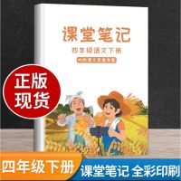 课堂笔记小学生4四年级下册语文课本同步人教版儿童书籍辅助教材