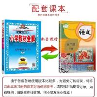2021春季新版小学教材全解五年级下册语文数学英语人教版RJ 五年级下册人教部编版 语文