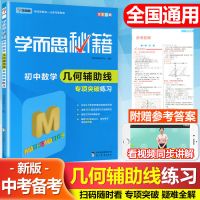 初中数学必刷题初中几何模型与解题通法中考复习资料专题训练题 几何专项突破练习